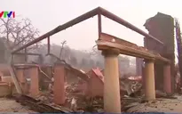 Cháy rừng ảnh hưởng nghiêm trọng tới ngành rượu vang Mỹ