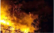 Cháy lớn tại khu bảo tồn thiên nhiên ở miền Trung Brazil