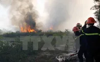 Cảnh báo cháy rừng tại một số địa phương