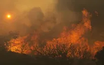Mỹ: California vắng khách du lịch vì cháy rừng