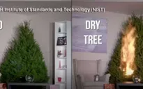 Cảnh báo cháy cây thông Noel mùa Giáng sinh