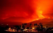 Bang California ban bố tình trạng khẩn cấp do cháy rừng
