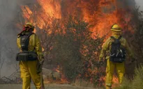 Số người thiệt mạng do cháy rừng tại California, Mỹ tăng lên 40