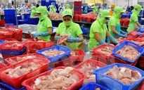 Xuất khẩu nông lâm thủy sản đạt 2,54 tỷ USD trong tháng 1/2017