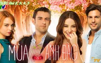 Phim truyền hình Thổ Nhĩ Kỳ mới trên kênh VTV3: Mùa anh đào