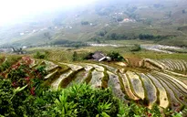 Khám phá du lịch Tây Bắc tại TP.HCM