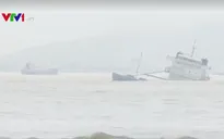 Tìm thấy thêm 5 thi thể vụ chìm tàu tại Bình Định