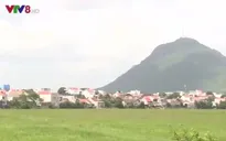 Phú Yên quy hoạch vùng, làng nghề nuôi chim yến