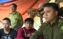 Quảng Nam: Chốt chặn bảo vệ lâm khoáng sản