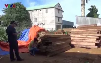 Công an Quảng Ngãi tạm giữ xe ô tô chở gỗ không đúng quy định