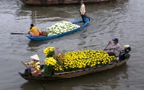 Sắc màu rực rỡ trên chợ nổi Cái Răng ngày Tết