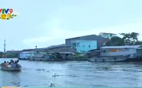 Chợ nổi Cái Răng ngày cuối năm