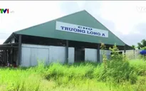 Nhiều chợ nông thôn mới bỏ hoang ở Hậu Giang