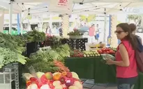 Chợ nông trang - Cứu cánh cho các trang trại hữu cơ gia đình Mỹ
