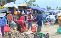 Nhộn nhịp phiên chợ vùng lũ ngày cuối năm tại Phú Yên