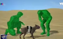 Video xác nhận IS cài chất nổ vào chó để tấn công tại Iraq