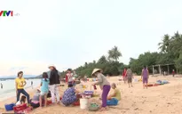 Trải nghiệm nhịp sống làng biển với chợ cá lúc bình minh