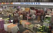 Chợ đầu mối Paris có thể trở thành kênh tiêu thụ nông sản Việt Nam