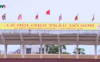 Có hay không việc thương mại hóa lễ hội chọi trâu?
