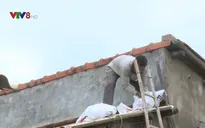 Phú Yên: Người dân chủ động chằng chống nhà cửa