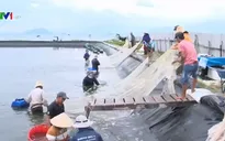 Tránh tâm lý chủ quan trước bão ở vùng ven biển Khánh Hòa