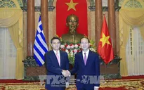 Chủ tịch nước tiếp các Đại sứ trình Quốc thư