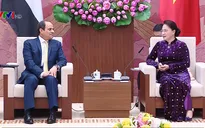 Quốc hội Việt Nam thành lập Nhóm Nghị sĩ hữu nghị Việt Nam - Ai Cập