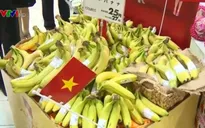 Các thị trường khó tính chuộng chuối Việt Nam