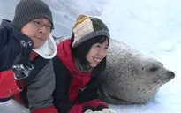 Chụp ảnh cùng hải cẩu ở thủy cung Hokkaido, Nhật Bản