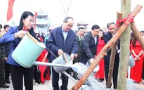 Cần tiếp tục đưa trồng rừng thành nếp sống của người Việt Nam