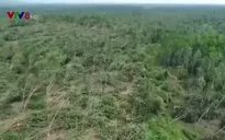 Quảng Bình cần chuyển đổi cây trồng để thích ứng biến đổi khí hậu