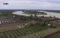 Sản xuất thích ứng với biến đổi khí hậu tại ĐBSCL