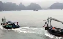 2 tàu gỗ đuổi nhau "thót tim" trên Vịnh Hạ Long