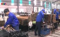 Hầu hết lao động đã trở lại làm việc sau Tết