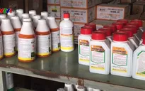Thuốc bảo vệ thực vật chứa chất cấm bán tràn lan