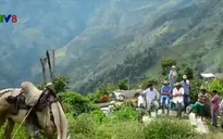 Liên Hợp Quốc và Colombia hợp tác chống ma túy