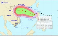 Chủ động ứng phó với diễn biến của cơn bão số 11