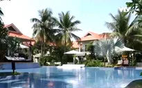 Các phương án quản lý condotel
