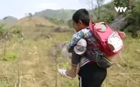 Cặp lá yêu thương: Mẹ cõng con tới trường
