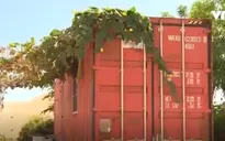 Vũng Tàu: Khó xử lý nhà container dựng trái phép trên đất quy hoạch