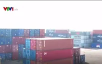Xuất khẩu gỗ tại Bình Định bị dồn ứ do tàu hàng chìm