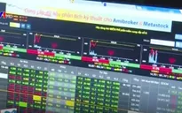 Cổ phiếu tăng phi mã nhờ tin lãnh đạo mua gom