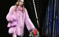 Gucci nói "không" với chất liệu lông thú từ năm 2018