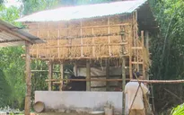 Nhà rơm - Mô hình thích ứng mưa lũ