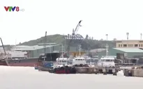 Xuất khẩu gỗ tại Bình Định bị dồn ứ do tàu hàng chìm