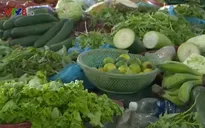 Rau xanh Đà Nẵng hư hại nặng, giá rau tăng ngất ngưỡng sau lũ