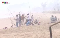 Câu cá mùa biển động