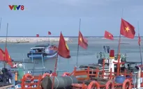 Vì lợi nhuận, ngư dân đánh bắt bất chấp pháp luật