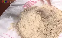 Hướng dẫn hộ kinh doanh trên vịnh Nha Trang xử lý rác hữu cơ