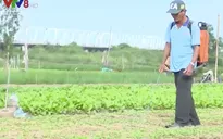 Nhiễu loạn thị trường phân bón, thuốc trừ sâu